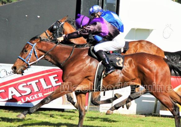 Standpoint (Pagel) Barbarian (Munger)