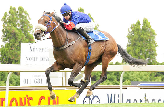 Whiteline-Fever_Gr2-Hawaii-Stakes_t20130302