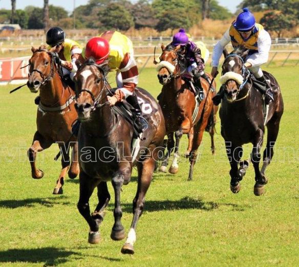 Wyle Style (Chase Maujean) TBA Sales Stakes 1000m