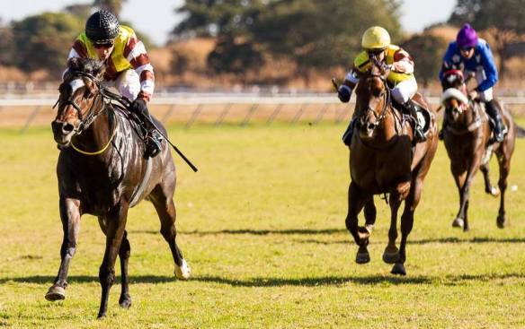 Champion Juvenile Stakes (Gr 3)