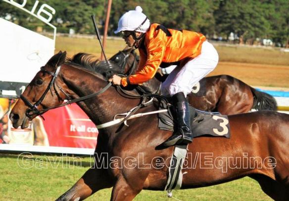 Perfect Grace Chase Maujean Mr70 1800