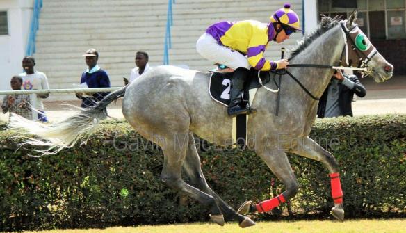 dIRTY cHAMPAGNE pAGEL gAVIN