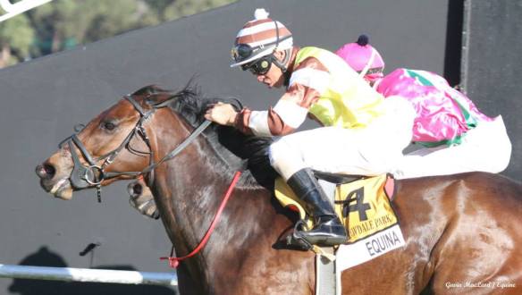 Finish Republic Cup Equina (Zechner) SUper Trouper (McNaughton)