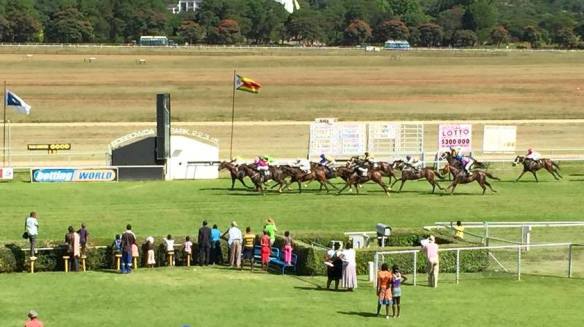 View BP Graham Nicholas Spike Say So Tiger