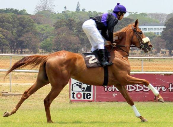 Carla The Rebel Lance Pagel