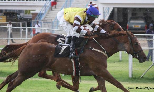 Jinx Johnson Sawere Elektra King Riddle