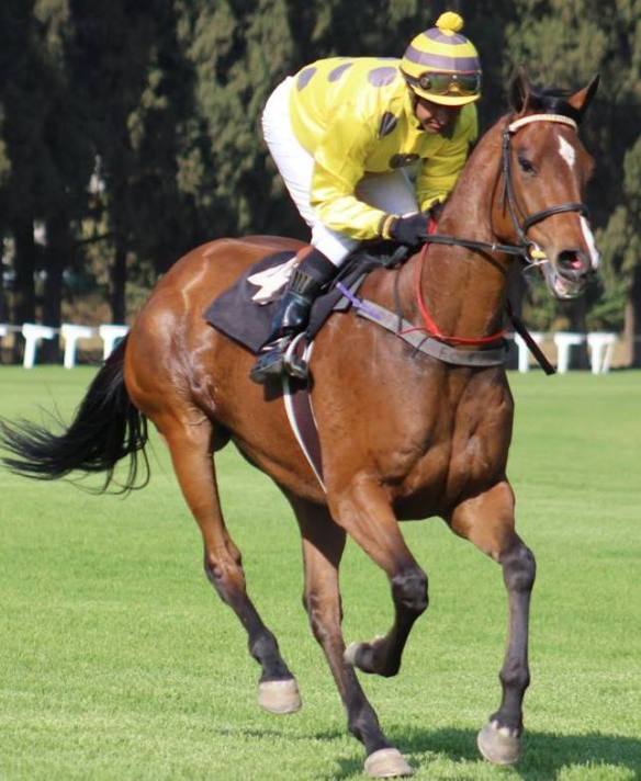 Print The Pounds - Chambers