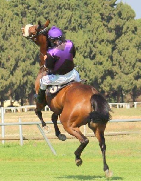 scarlett-ice-fortune