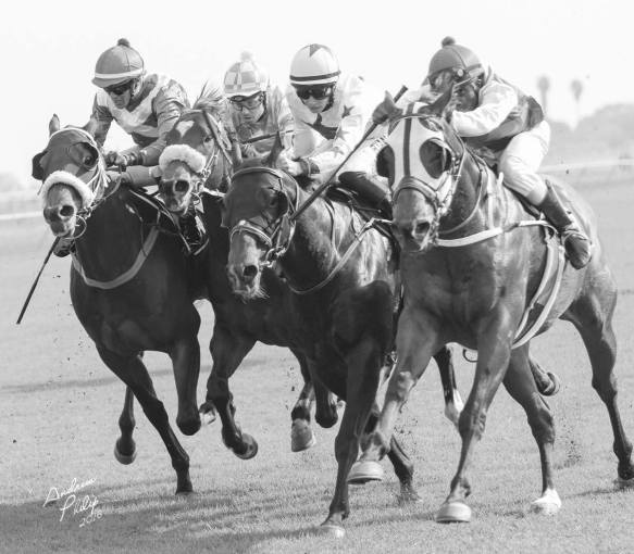 afz-borrowdale-chairty-sprint-run-on-september-10-no-2