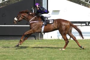 Betula Uber wins the Breeders Fillies Mile (L) Marwing