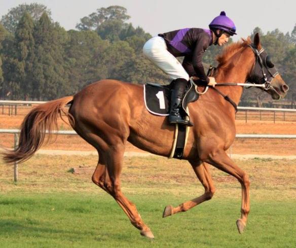 Carla The Rebel Pagel