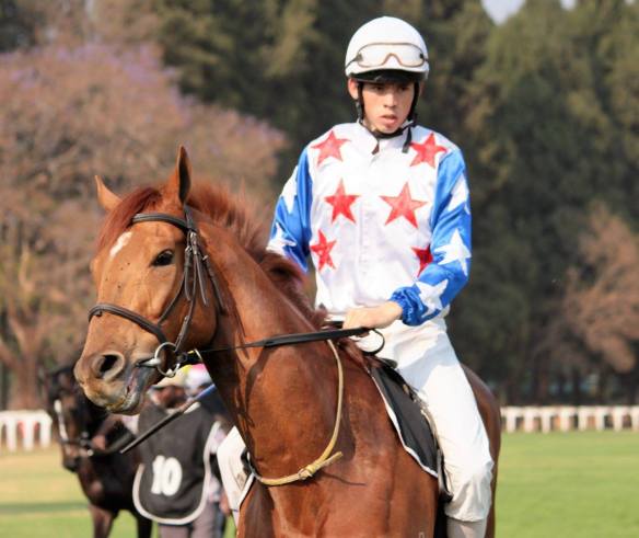 davids-flower-greyling