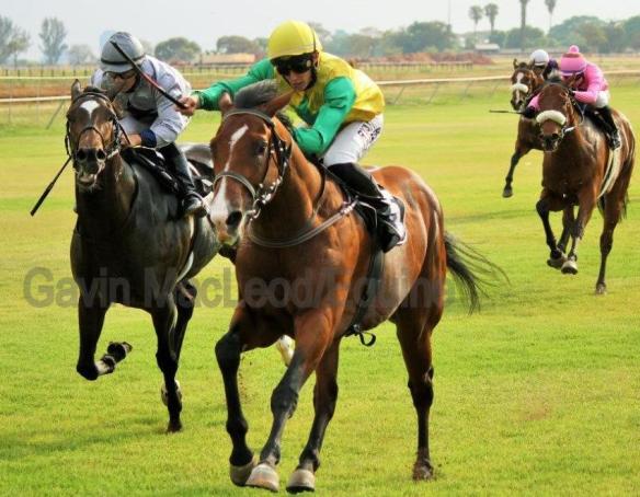 Kevin Barry Munger Wylde Style Maujean Jacaranda Free Gavin