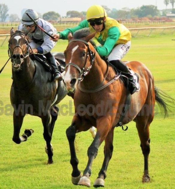 Kevin Barry Munger Wylde Style Maujean Jacaranda Free Gavin