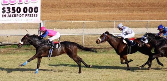 Flax, Newton Power, Eurakilon Breeders Sprint on July 31