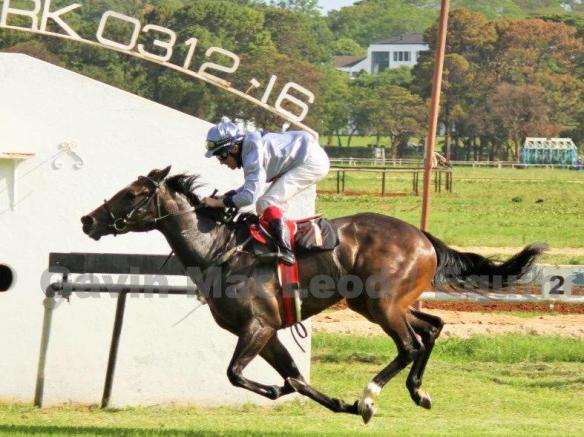 Wylde Style coming home lonely in the Tote Free Evert Pheiffer