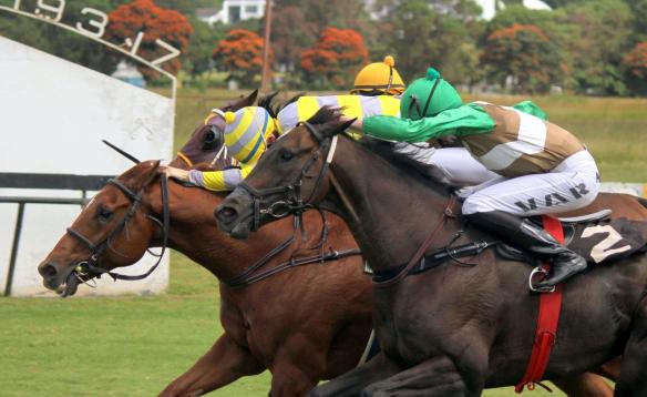 Al Salaam and Baumgartner 0.10 lengths Gavin