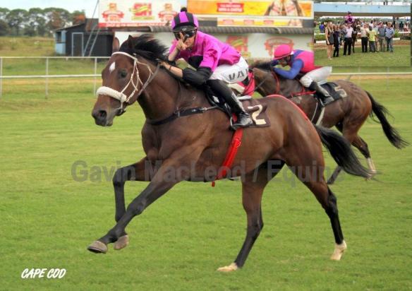 CAPE COD, Detente, Tierce MR 50 1200m watch this Callan Murray Gavin