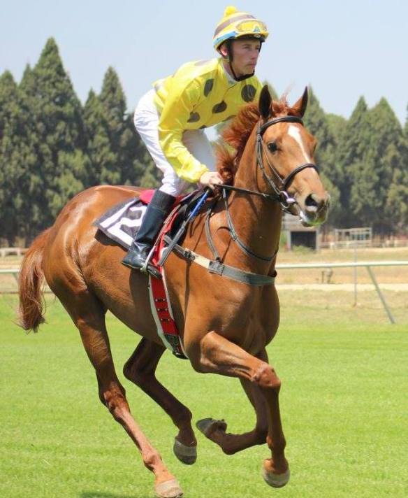 Duffi's Call Brendon