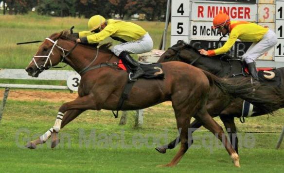 Gotago Sherman 1450 Gavin