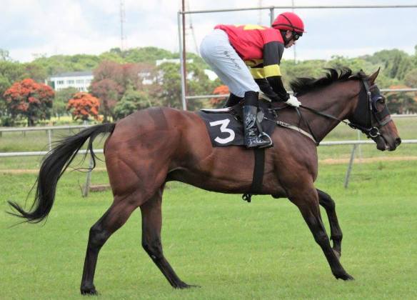 King's Wager Munger ZEN