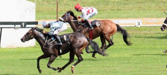 Fillies Classic Finish, Wylde Style, Solinski, Golden Mystery ZEN