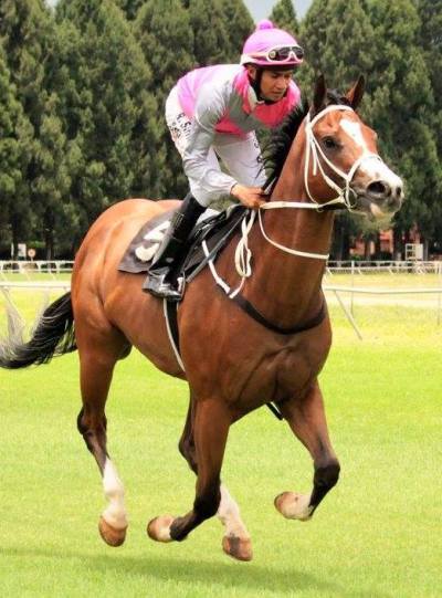 mitsvah Rain 2 (simons) zen