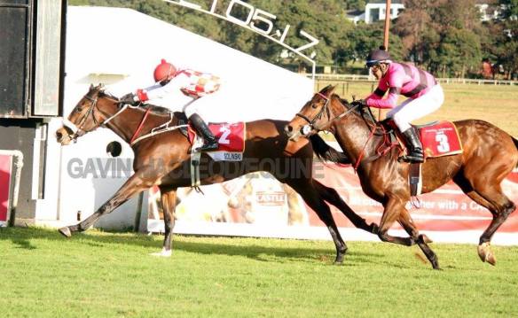 Oaks finish Solinski (Zechner) Crystalline.(Chambers) Gavin