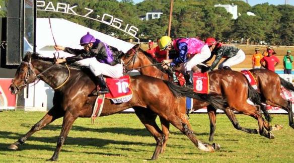 2016 Tankard Rock The Country, Mathematician, Windigo