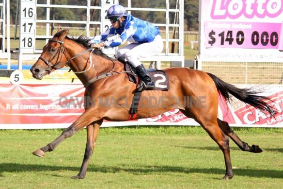 Barbarian 2 Greyling 1800 MR 70