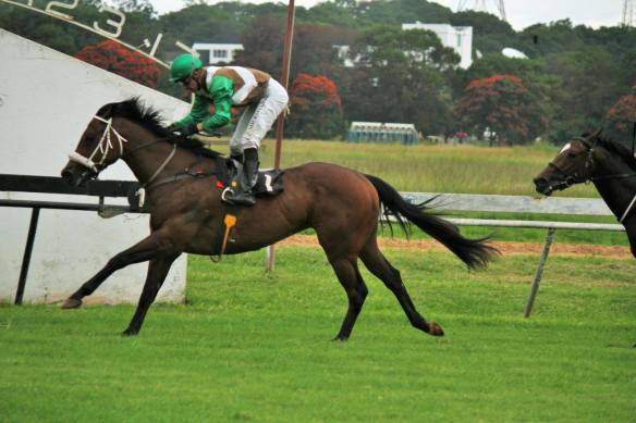 Flasher On The Run Guineas Sherman -