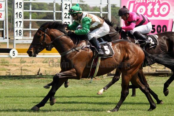 Ezekial Philanthrop Herholdt Chambes Gavin 1800 Equina MR 55