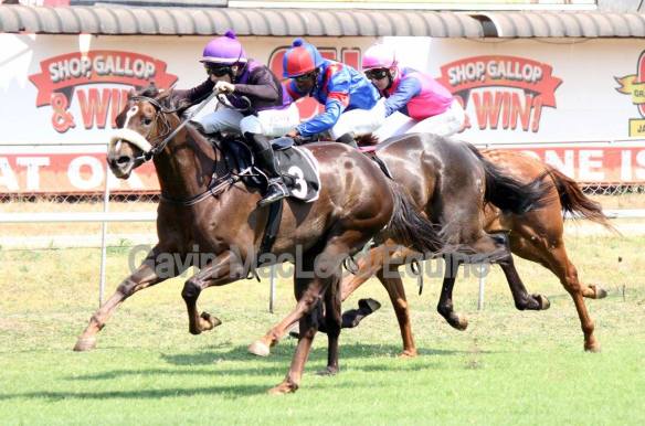 Rebellious Queen J Penny Peggson Derere Cathayness Habib R4 Gavin