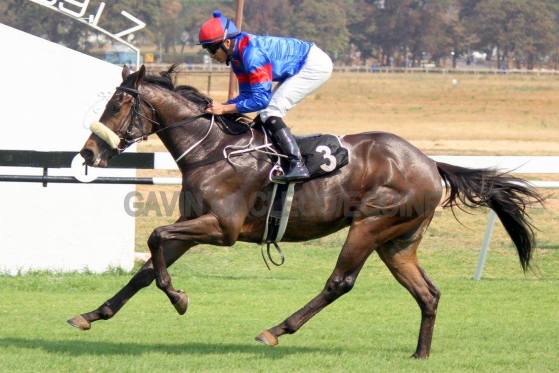 Peggson Simons Gavin