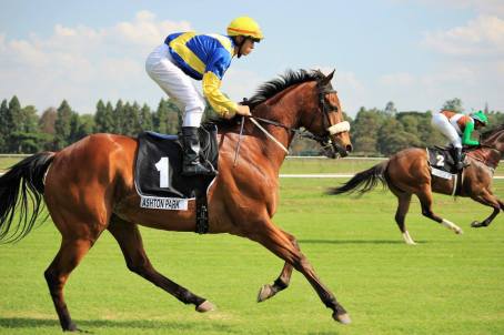 Ashton Park 2 Greyling