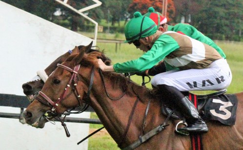 Stirling Road and Rawedge 2400m 0.05 lengths