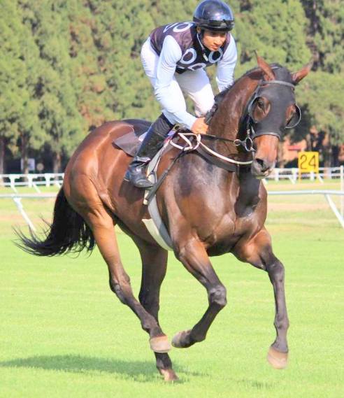 western warrior simons