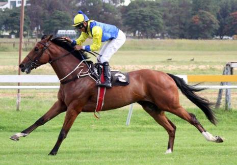Knuckleball Simons Guineas Trial Gavin