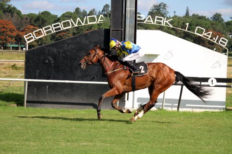 Knuckleball Zimbabwe 2000 Munger Gavin