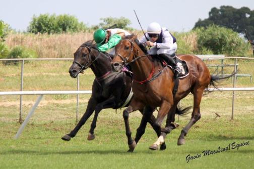 Roy's Sailor - Munger (nearest Camera) and Baumgartner - Brown in the 2000m MR 55 Handicap 0.05 lengths