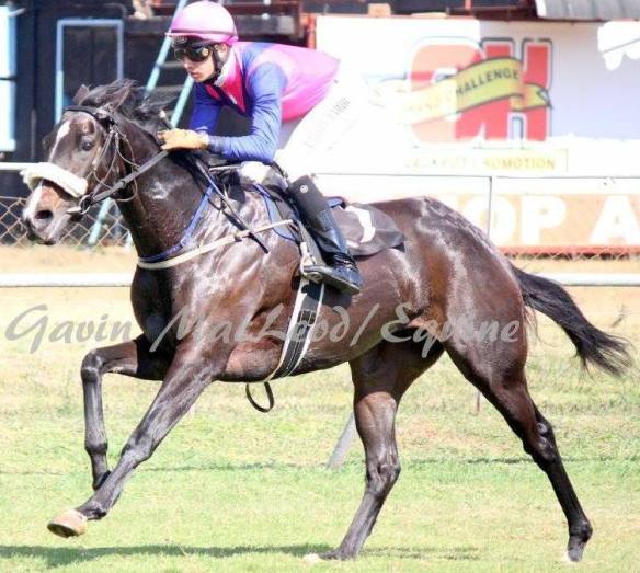 Simona Calvin Habib Gavin