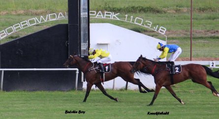 Finish 2018 Guineas Butchie Boy (Chambers) Knucklebasll (Munger) zen