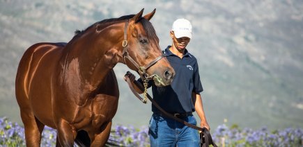 Summer Afternoon grand daughter of Ipi Tombe