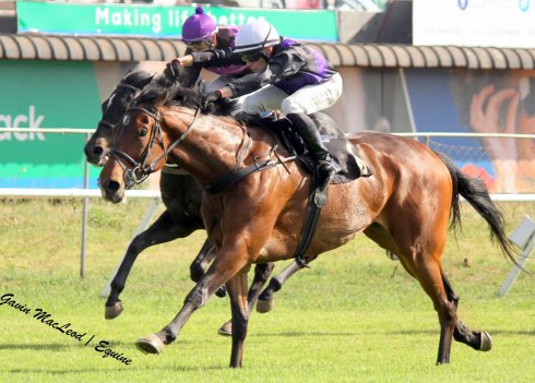 Sunrise Ruby and Innovation.   Sunrise Ruby is nearest the camera