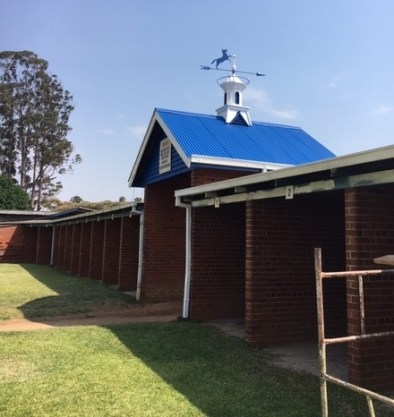 Painting the saddling area