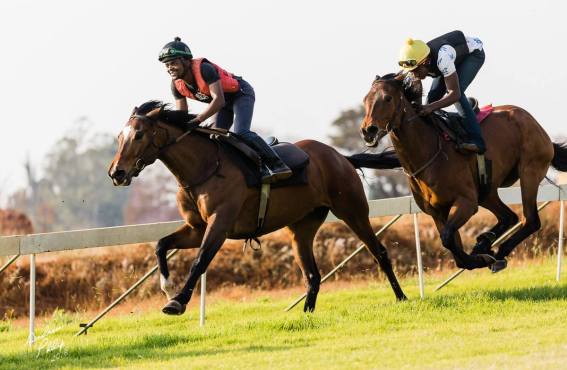 Solinski (Boniface Vengesa)