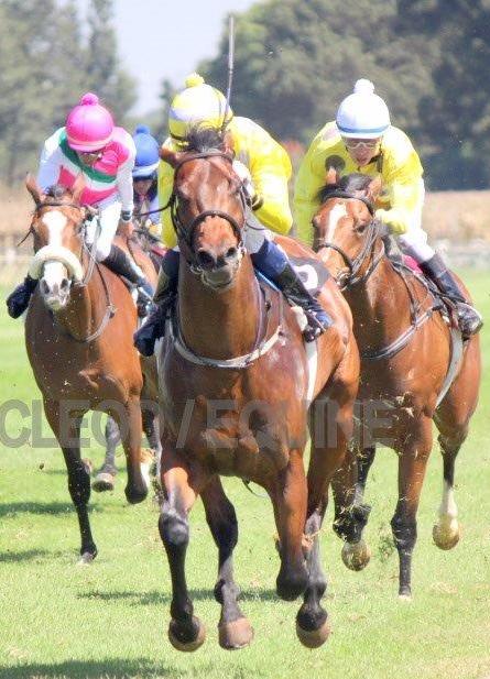 Butchie Boy coming second to Flanders (not in pic)