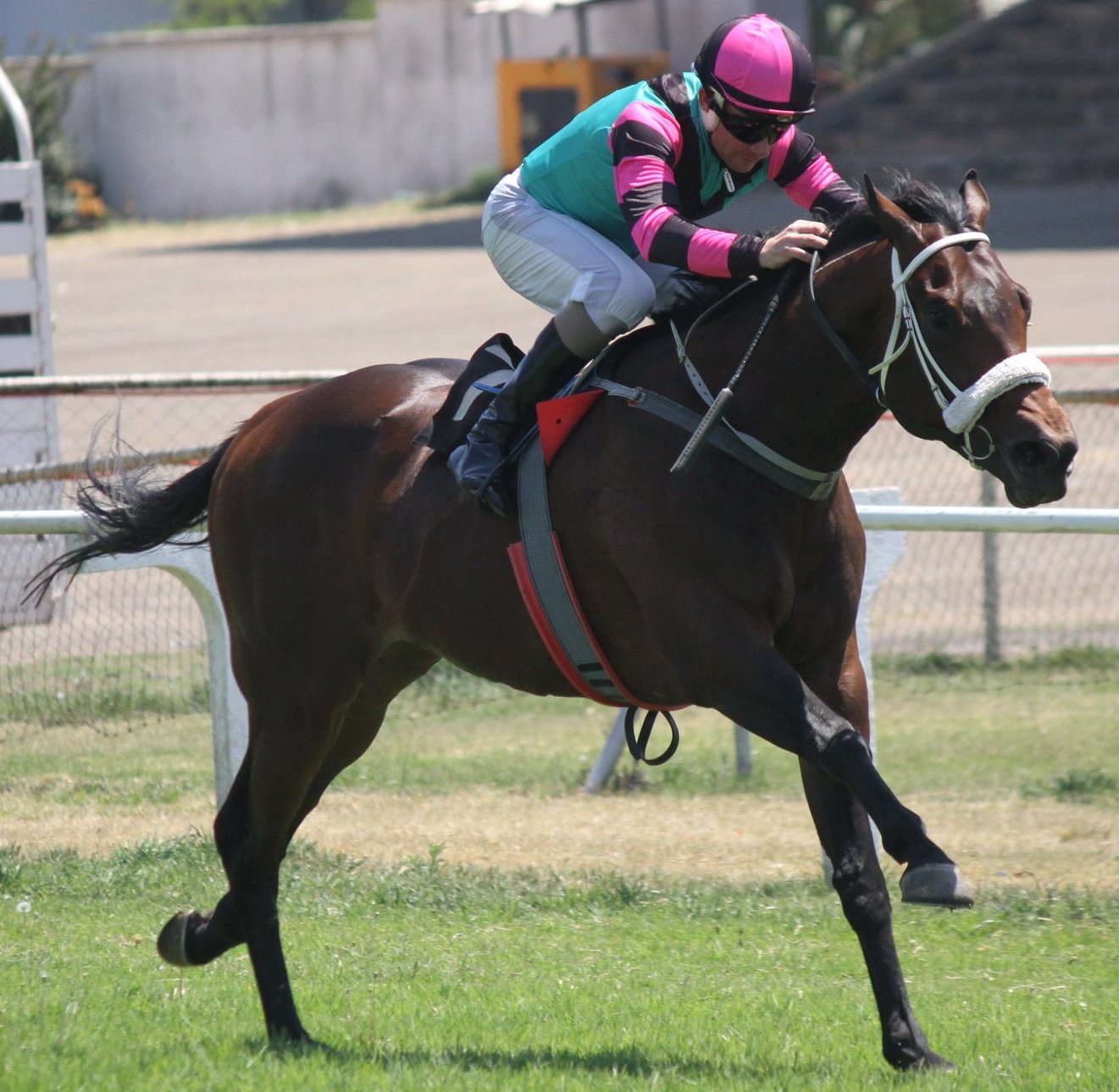 Three To Tango Brown